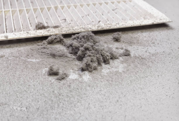 Best Ventilation Cleaning Services  in Payson, UT
